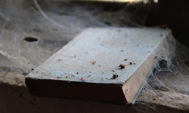 Kenapa Kedai Buku Makin Sunyi?